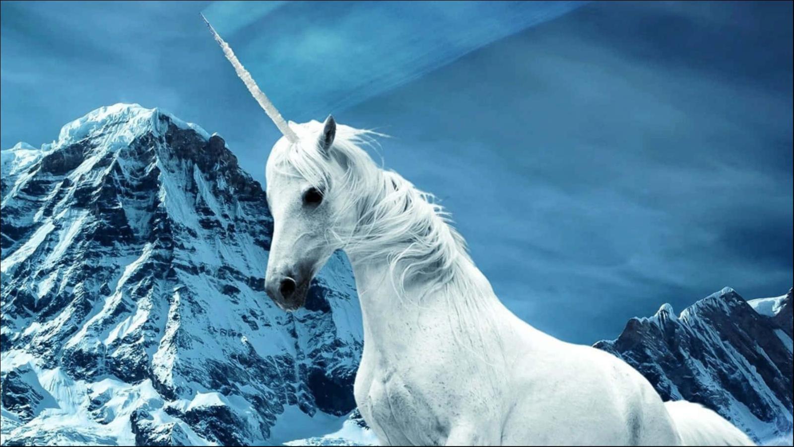 （Image source: Free commercial image library Wallpapers）