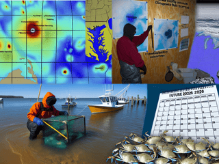 Climate Volatility and Winter Freezes Disrupt Chesapeake Bay Crab Surveys: Implications for 2026 Fisheries Management