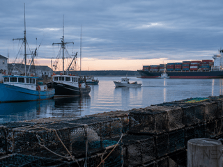 Canada Spares Maine and Alaska Seafood in Tariff Retreat, but Trade War Stays On