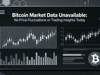 Bitcoin Market Data Unavailable: No Price Fluctuations or Trading Insights Today