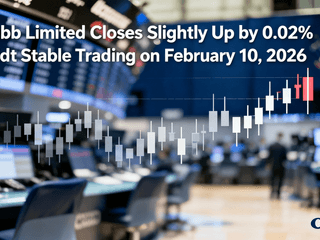 Chubb Limited Closes Slightly Up by 0.02% Amidst Stable Trading on February 10, 2026