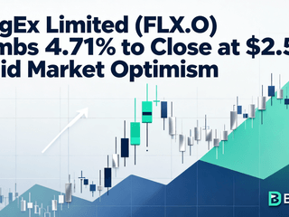 BingEx Limited (FLX.O) Climbs 4.71% to Close at $2.56 Amid Market Optimism