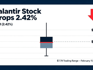 Palantir Stock Drops 2.42% with $7.79 Trading Range on February 11, 2026