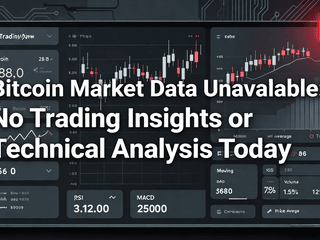 Bitcoin Market Data Unavailable: No Trading Insights or Technical Analysis Today