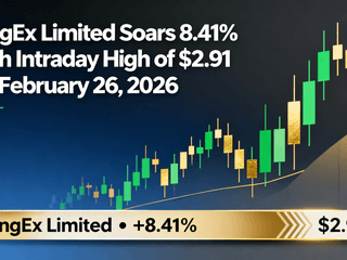 BingEx Limited Soars 8.41% with Intraday High of $2.91 on February 26, 2026