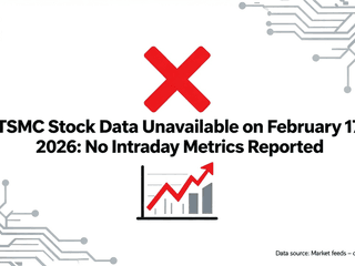 TSMC Stock Data Unavailable on February 17, 2026: No Intraday Metrics Reported