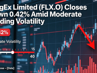 BingEx Limited (FLX.O) Closes Down 0.42% Amid Moderate Trading Volatility