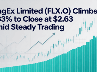 BingEx Limited (FLX.O) Climbs 2.33% to Close at $2.63 Amid Steady Trading