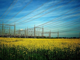 DOJ Cross-Appeals Google Search Verdict as U.S. President Trump’s Administration Escalates Big Tech Antitrust Enforcement