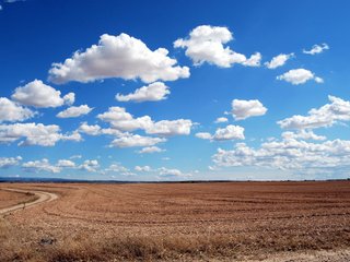 U.S. President Trump Establishes Task Forces to Safeguard Competition in Food Supply Chains