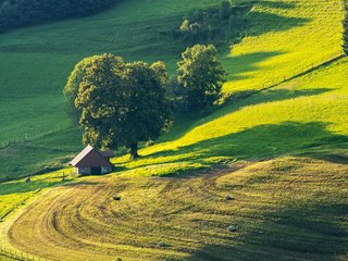 SpaceX Seeks IPO in Mid-June