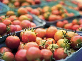 Instinct Over Intelligence: U.S. President Trump Escalates Iran Conflict on a Feeling