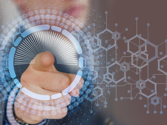 Tragic Death of Six Puppies in Thane Prompts Resident Demands for Probe Amid Rising Urban Animal Conflict