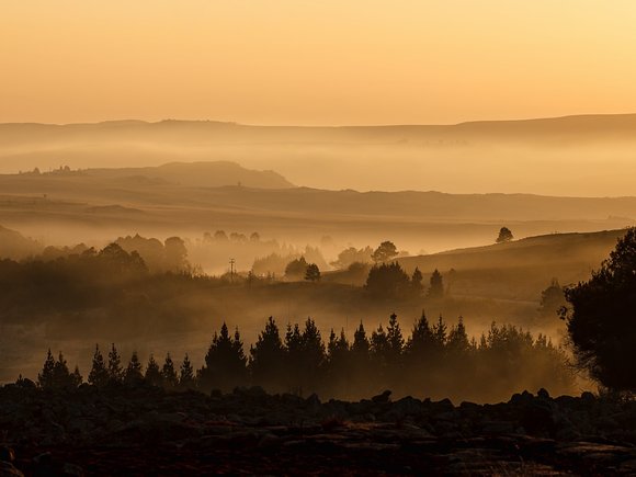 Sisi Warns U.S. President Trump of $200 Oil as Iran Conflict Threatens Global Supply Chains