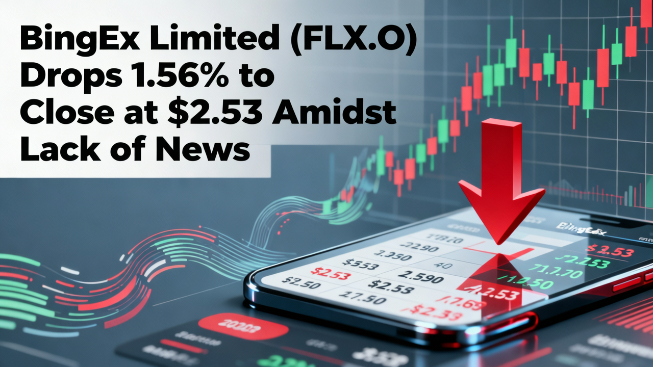 BingEx Limited (FLX.O) Drops 1.56% to Close at $2.53 Amidst Lack of News